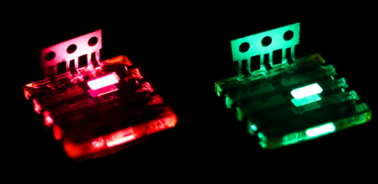 Perovskite Leds Display Daily