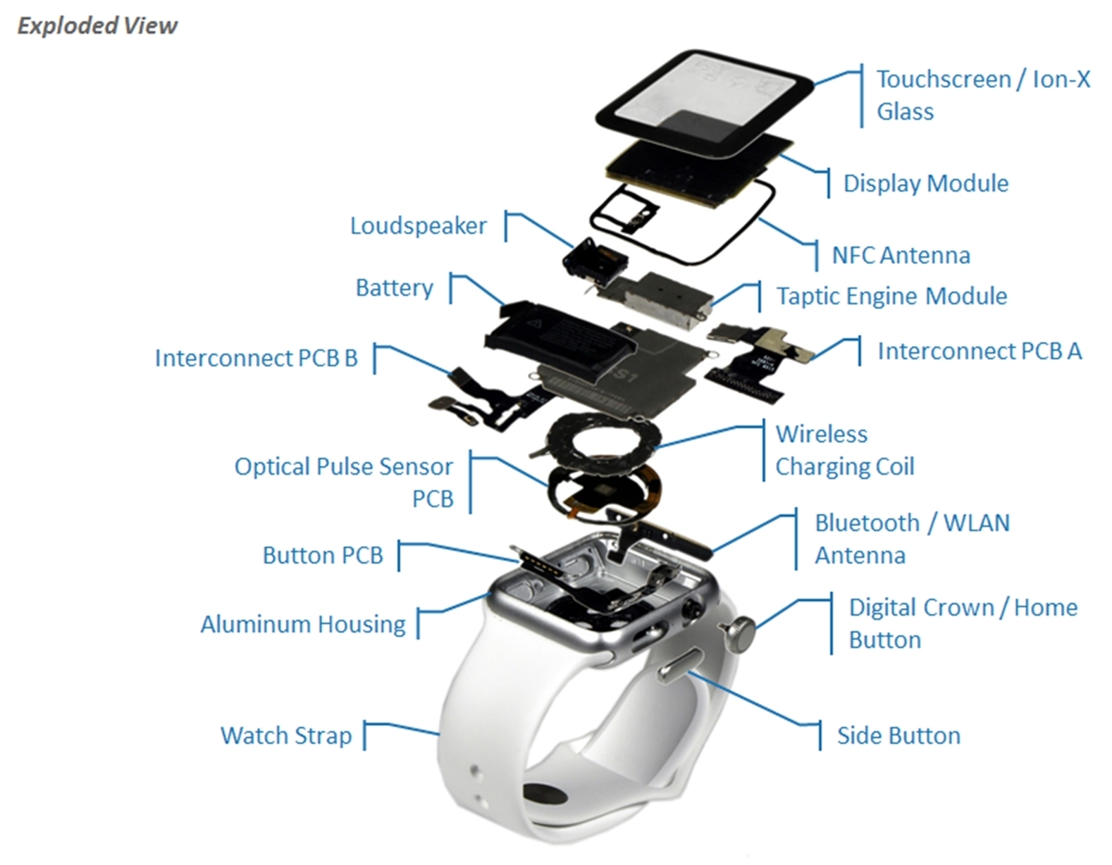 Apple Watch Exploded View Pic