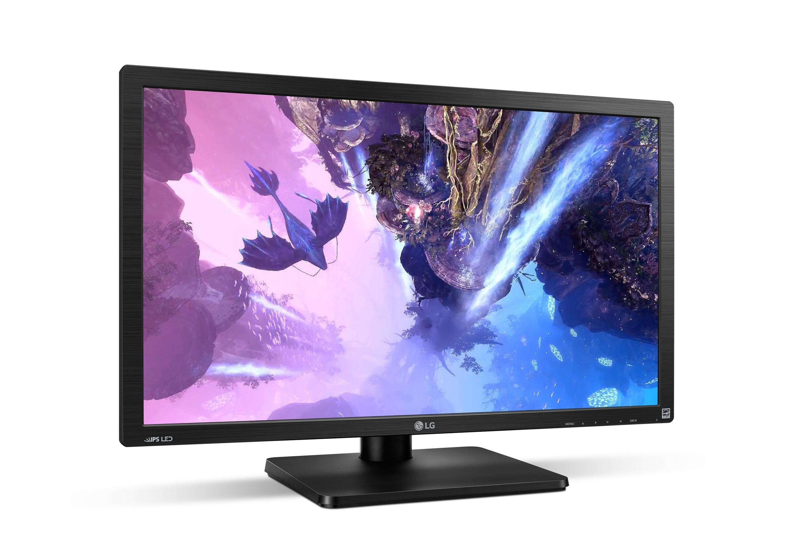 LG4K monitor