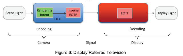 Borer display referred TV