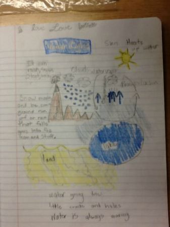 After Water Cycle 1