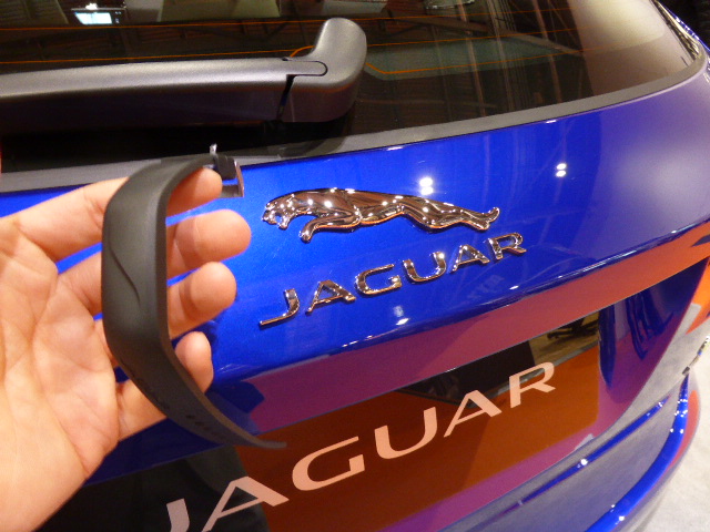 Jaguar Activity Key