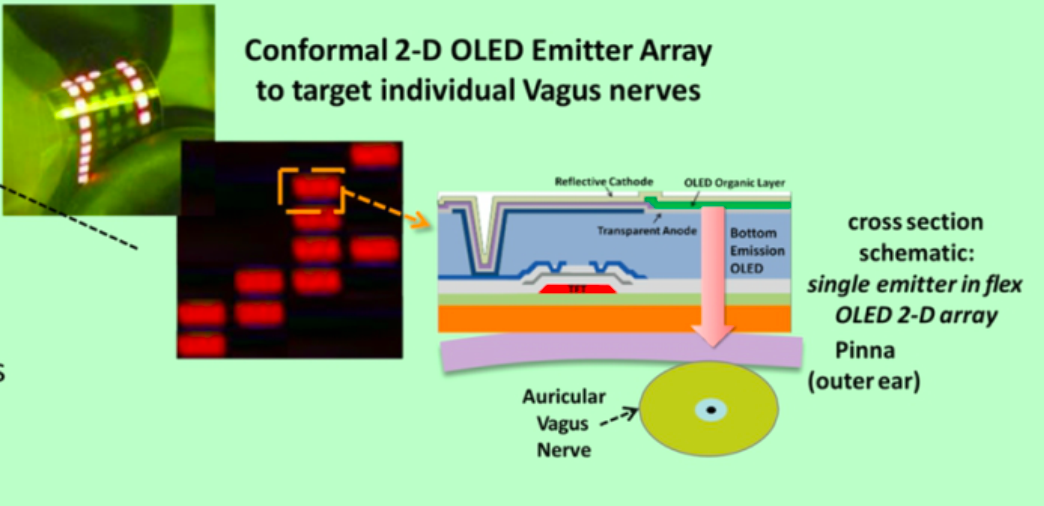 2D OLED ASU