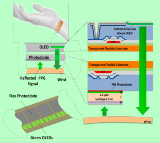 Green OLED ASU