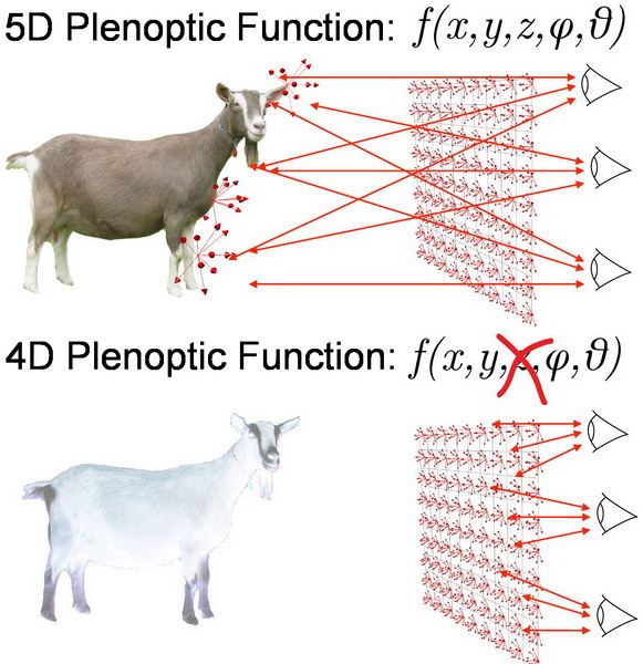 light Field 5D 4D Goat b resize