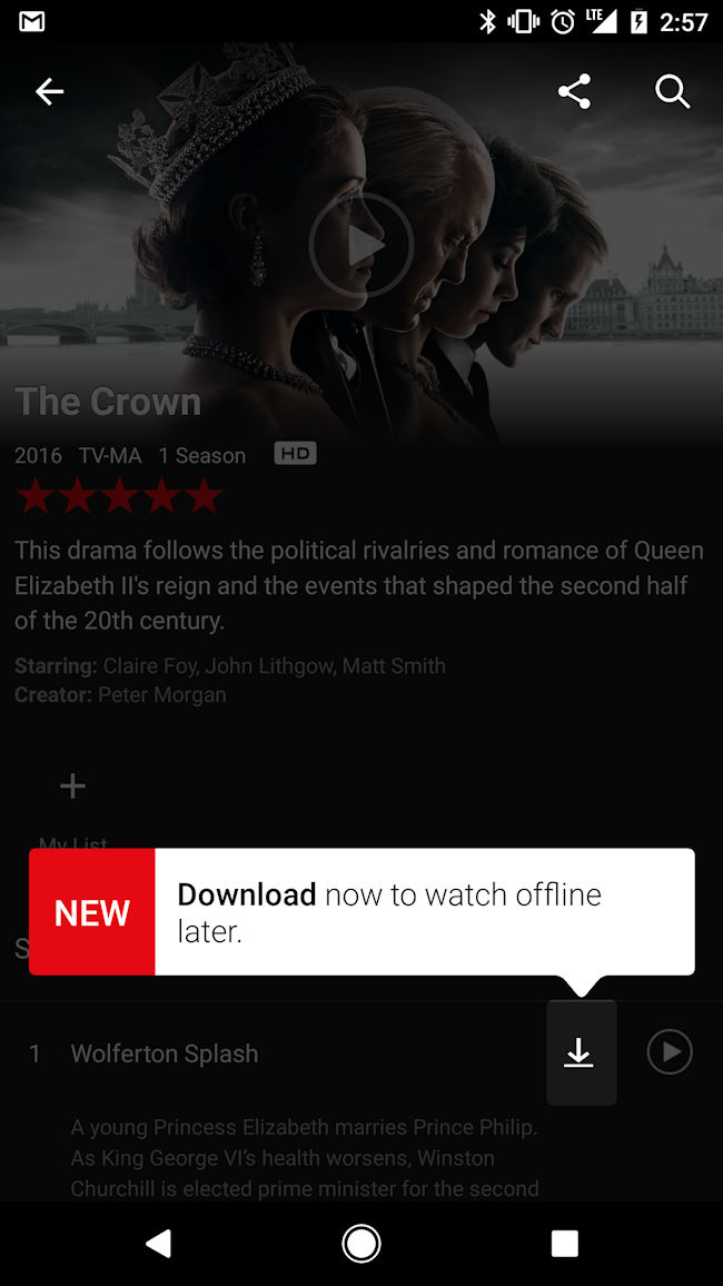 Netflix downloading