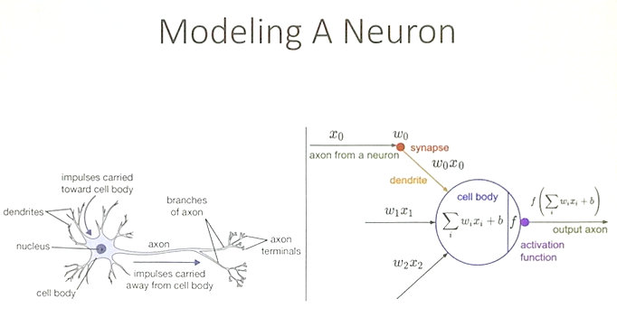 AI9neuron copy r1