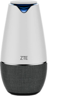 ZTE S100