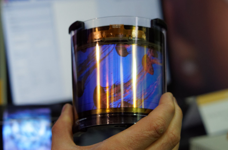 Flexenable flexible LCD