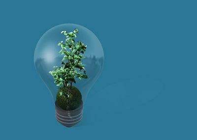 light bulb with plant GS