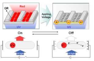 operating principle quantum rod LC