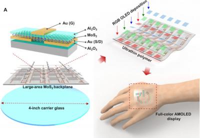 Yonsei full color wearable AMOLED on MoS2 img assist 400x276