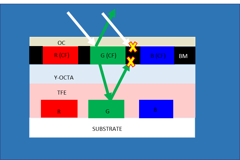 COE Structure