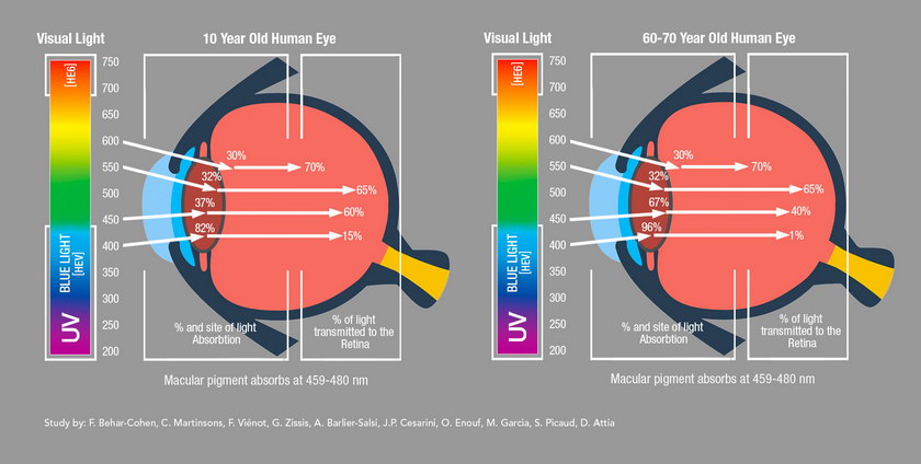 Eyesafe eyes light entering illustration resize