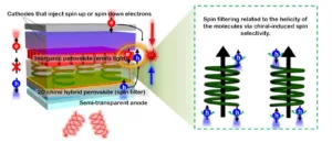 Chiral Image adapted v2