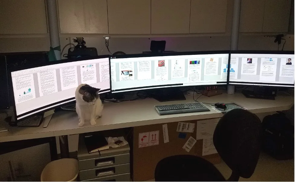 multi display setup